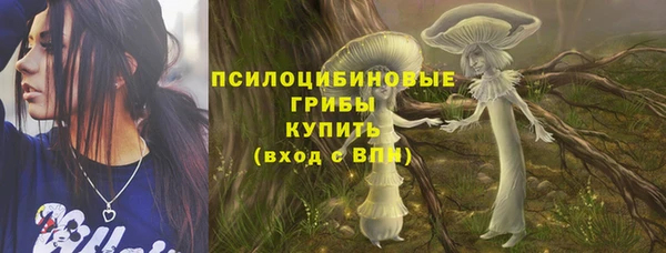 mdpv Верея