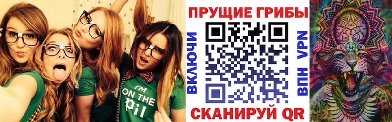 Псилоцибиновые грибы Cubensis  Октябрьский 